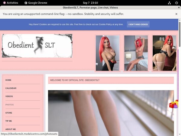 0bedientSLT Webcam