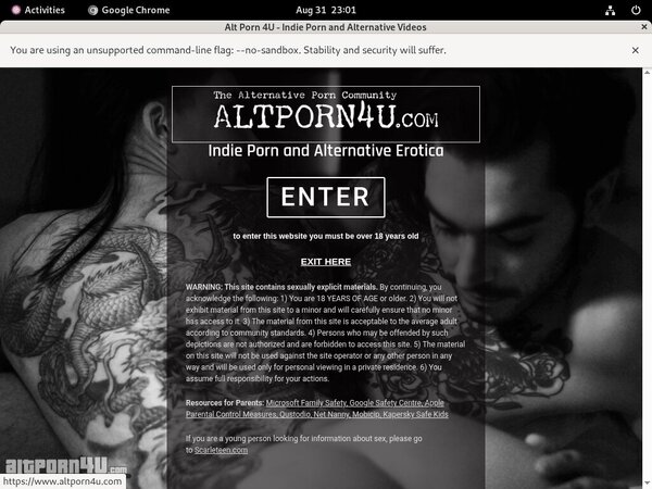 Alt Porn 4 U Account And Passwords