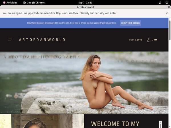 Artofdanworld With Credit Card