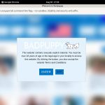 Bad Puppy Login And Password Bad Puppy Login And Password