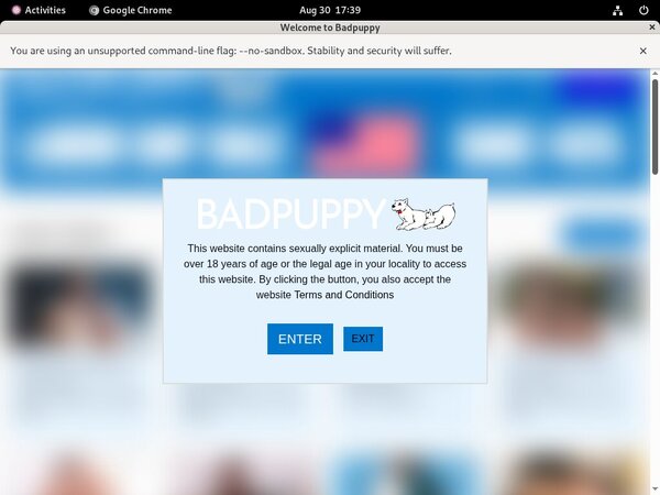 Badpuppy Site Rip Dl