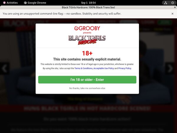 Blacktgirlshardcore Passwords Blog