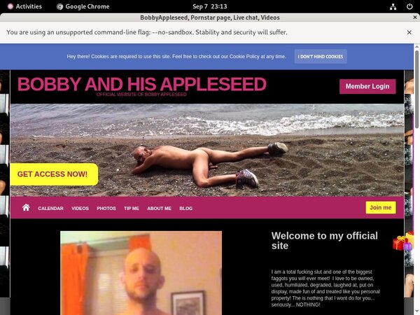 Bobbyappleseed.modelcentro.com Cheaper