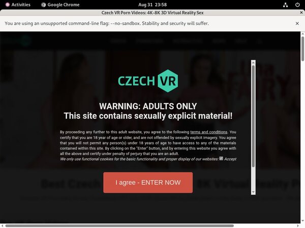 Czechvr Receive Discount