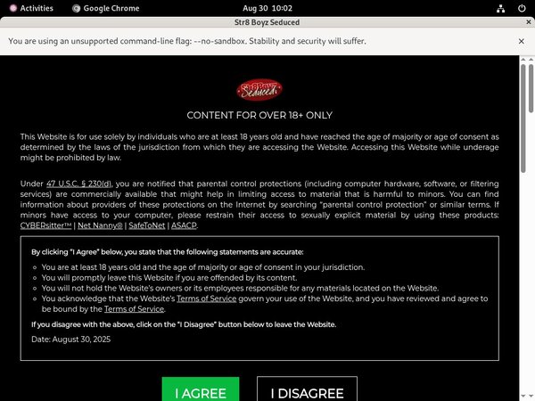 Dl Str8 Boyz Seduced Site Rip