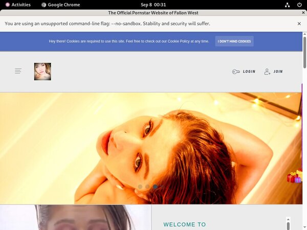 FallonWest Account Passwords