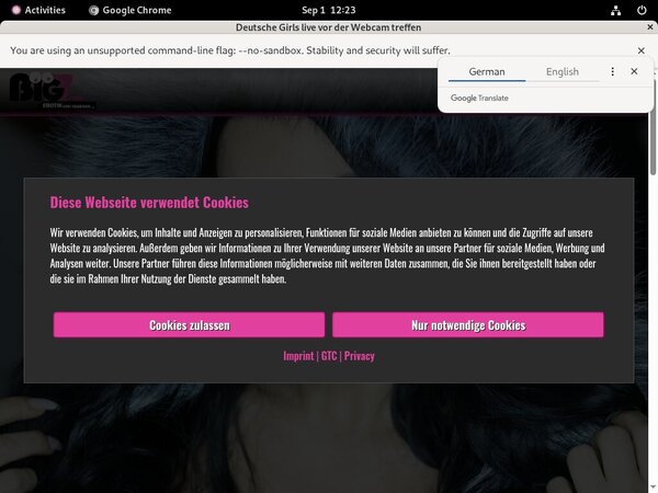 Free Lanagiselle.tv Accs