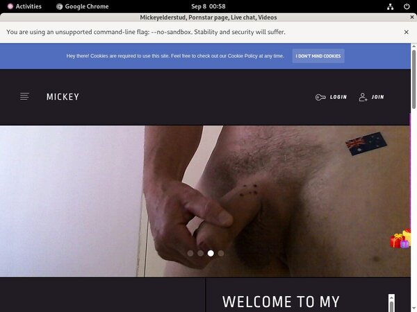 Free Mickeyelderstud.modelcentro.com Login And Pass Free Mickeyelderstud.modelcentro.com Login And Pass