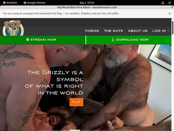 Free Muscle Bear Porn Password