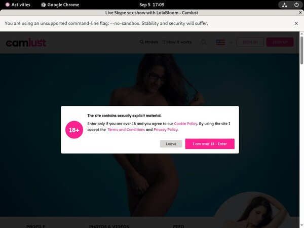 Get Camlust.com Day Trial