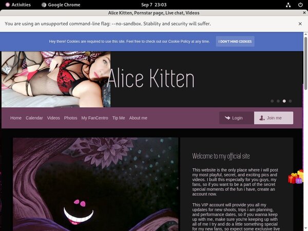Get Into Alicekitten.modelcentro.com Free