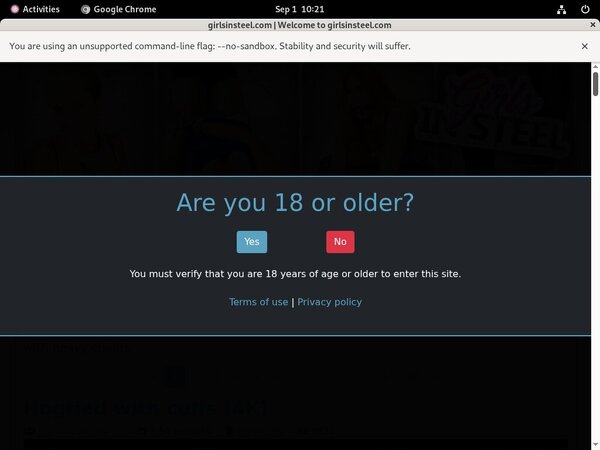 Girlsinsteel.com Id Password