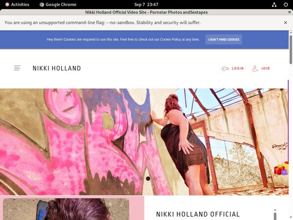 How Much Does NikkiHolland Cost