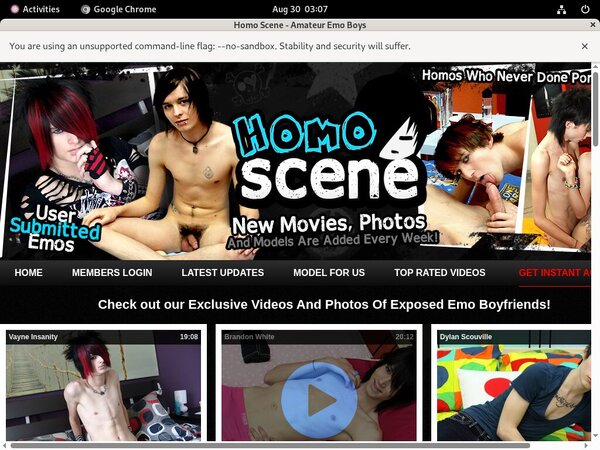 Is Homoscene.com Real?