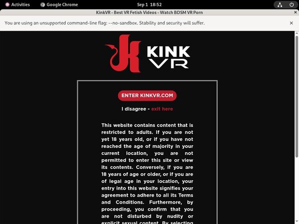 Kink VR Film