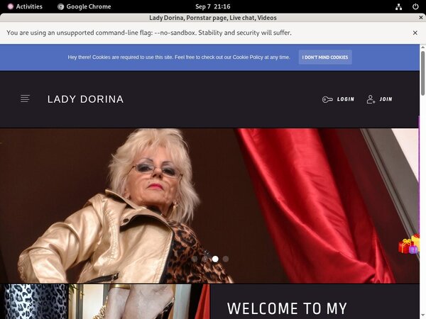Lady Dorinapassword
