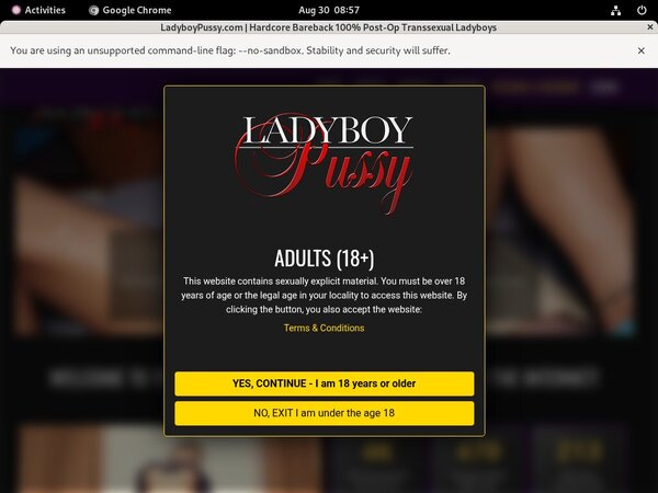 Ladyboy Pussy Discount Today