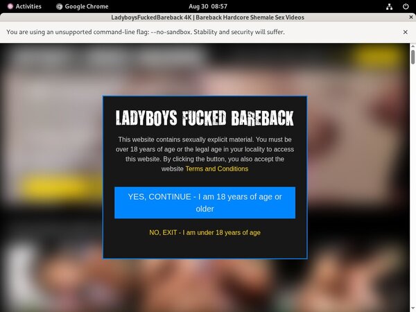 Ladyboysfuckedbareback.com Full Video