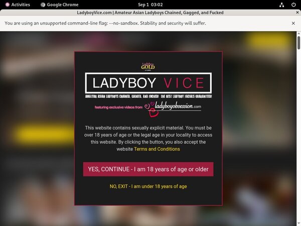 Ladyboyvice.com New Discount