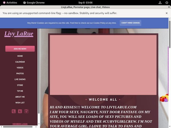 Livylarue.modelcentro.com Login Account