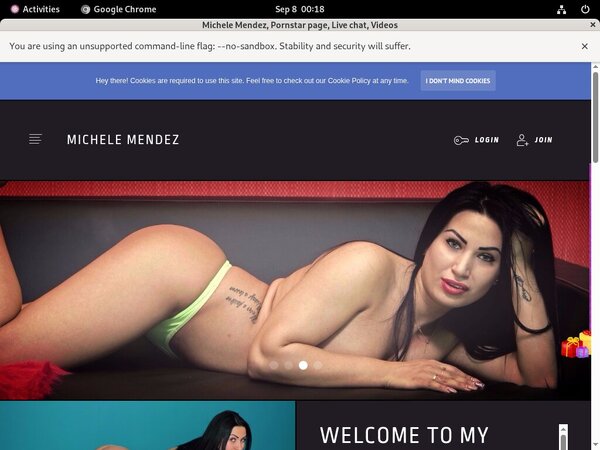 Michelemendez.modelcentro.com Using Discount