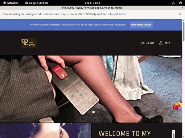 Misskellypayne.modelcentro.com Model
