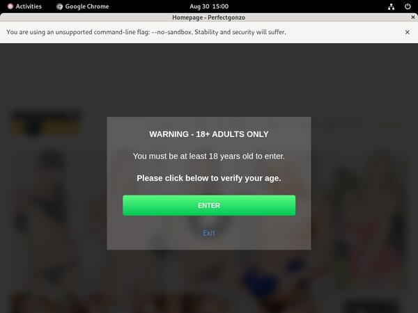 Perfectgonzo.com With Visa