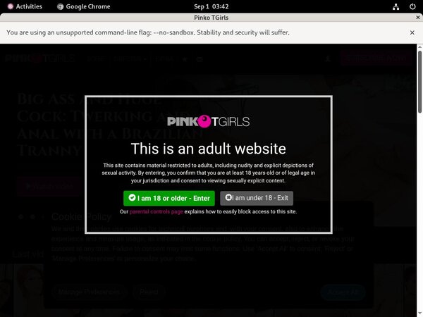 PinkO TGirls Porn Discounts