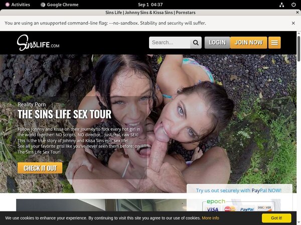 Sins Life Verotel