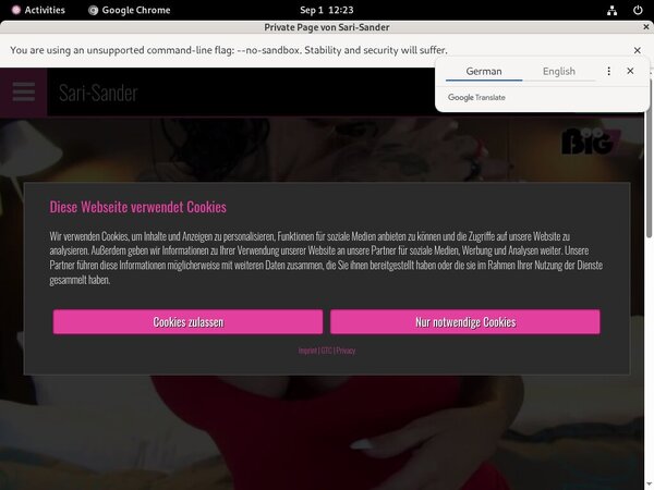 Site Rip Sari Sander
