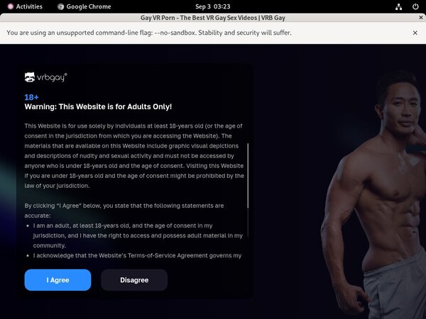Site Rip VRB Gay