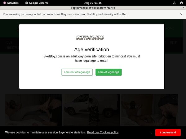 Sketboy Login Generator