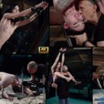 Subspaceland.com Site Rip 2018