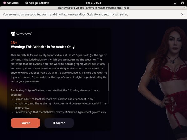 Try Vrbtrans.com Free