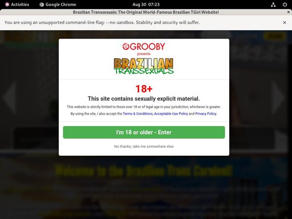 Free Logins Transsexualsbrazilian