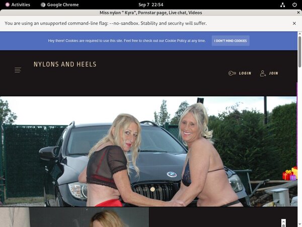 Stockingsandhighheels.com Paypal Sign Up