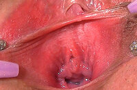Gape My Pussy Premium Free s2 Gape My Pussy Premium Free s2